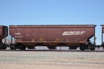 BNSF 495217