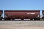BNSF 495921