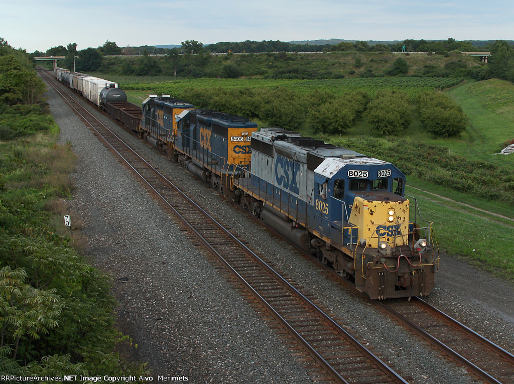 CSX Q751 at Mile 70 Lakeshore Sub