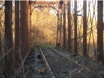Beautiful fall light on the trestle.