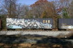 CSX 196425
