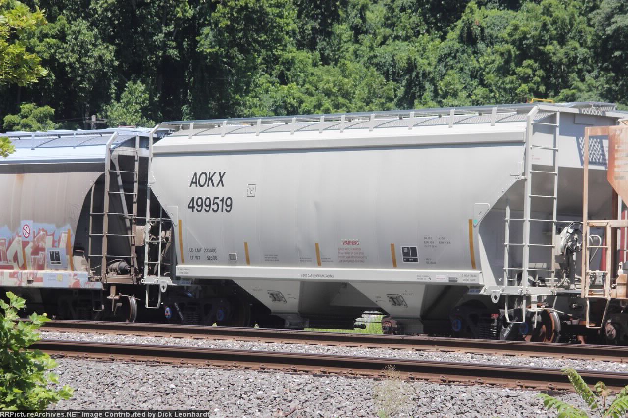 AOKX 499519
