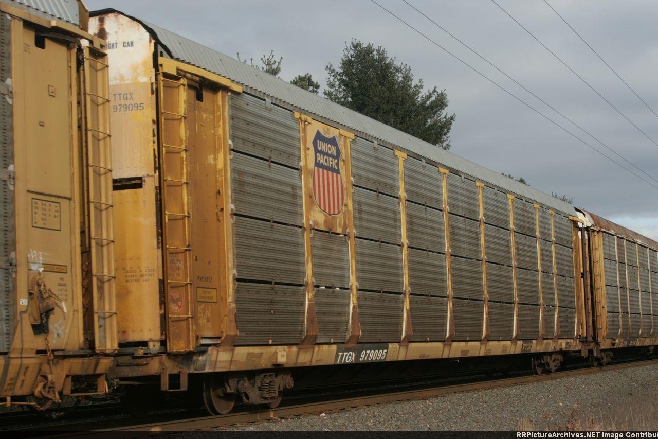 TTGX 979095