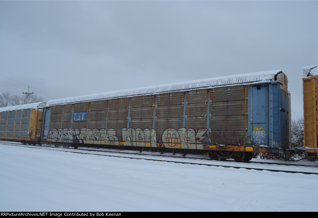TTGX 255146