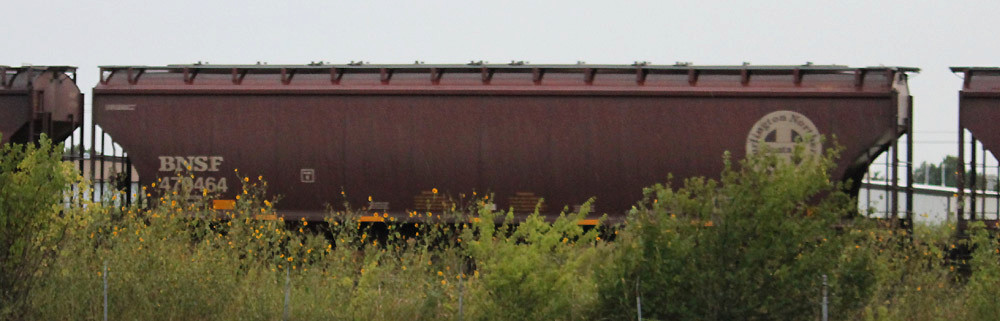 BNSF 479464