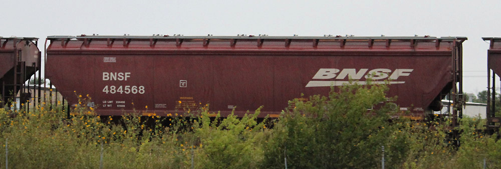 BNSF 484568