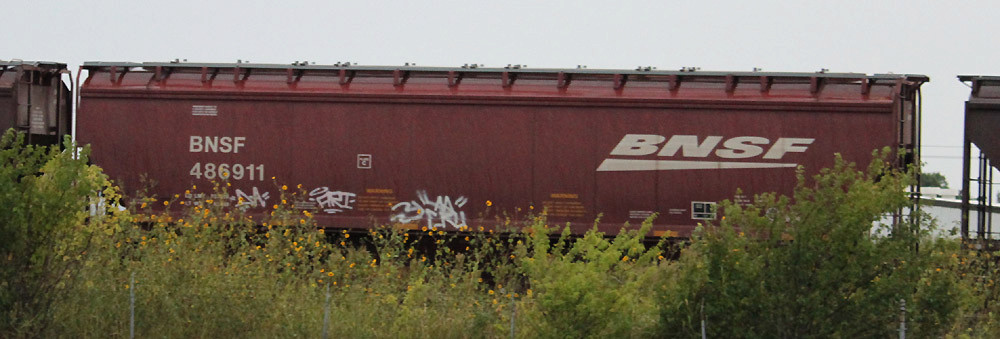 BNSF 486911