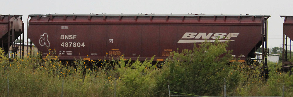 BNSF 487804