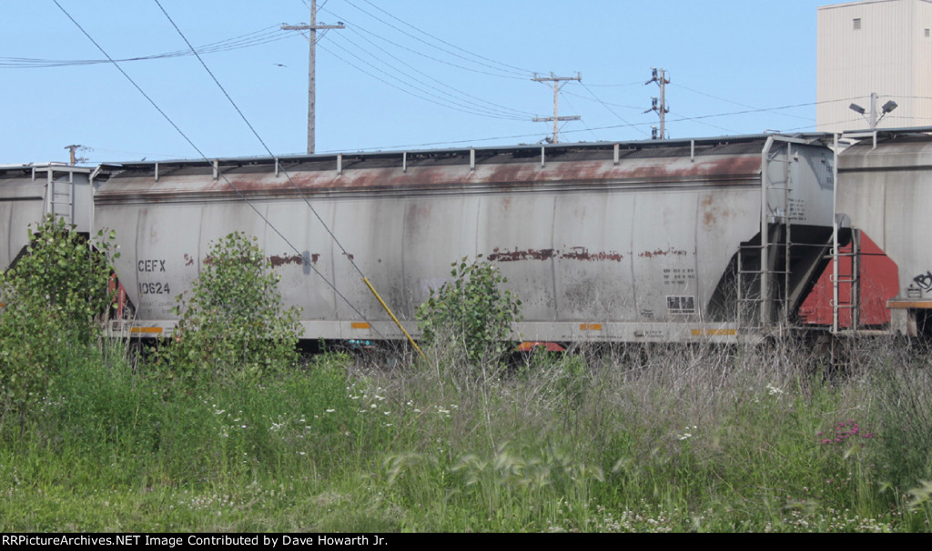 CEFX 10624