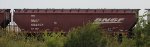 BNSF 484325