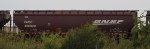 BNSF 488829