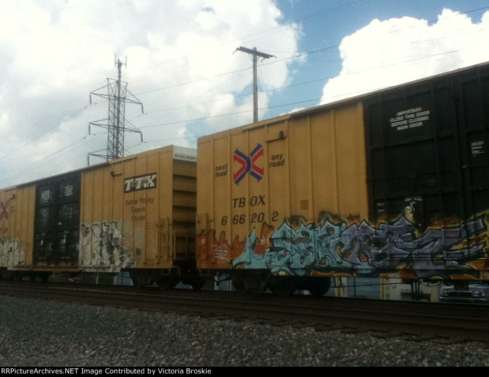 TBOX #666202