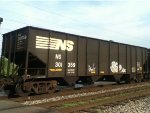 NS #301359
