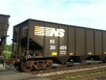 NS #301409