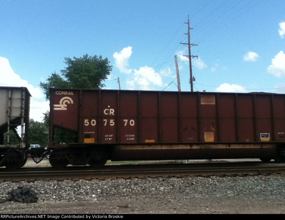 Conrail Thoroughbred