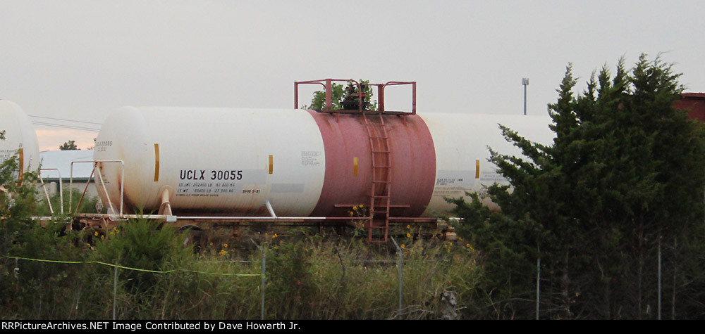 UCLX 30055