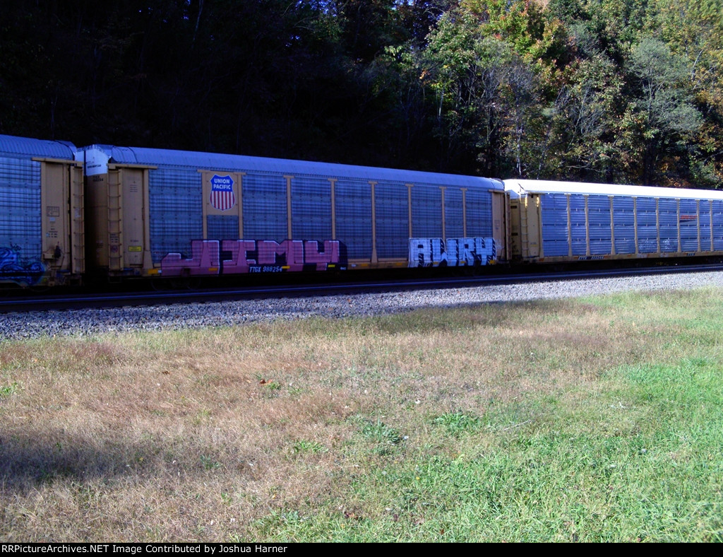 TTGX 988254