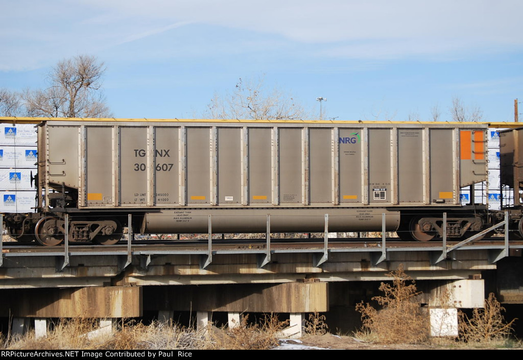 TGNX 30607