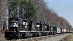 NS P61