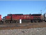 CP 9568