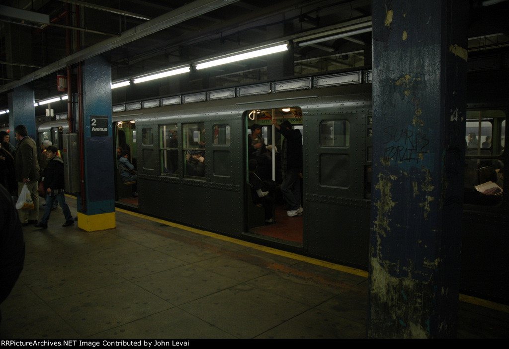 Side view of a brown Arnine