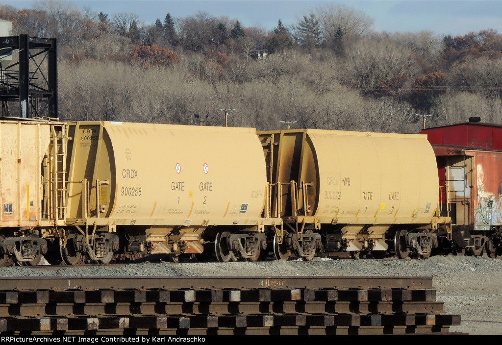 CRDX 900258