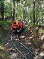 Teaberry & Southern Plymouth #3