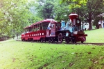 Steele Creek Park Train