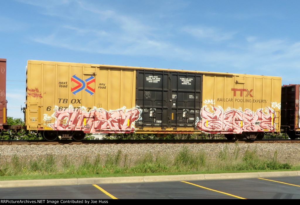 TBOX 667177
