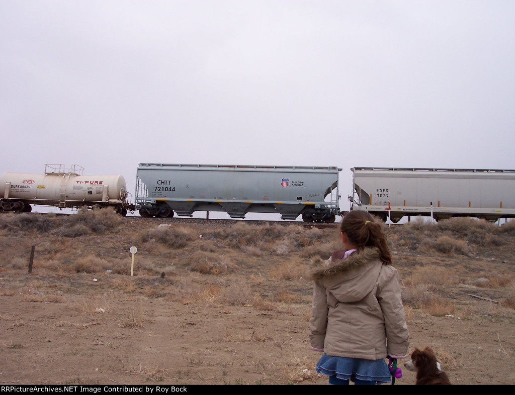 a Dupont tank car and two covered hoppers