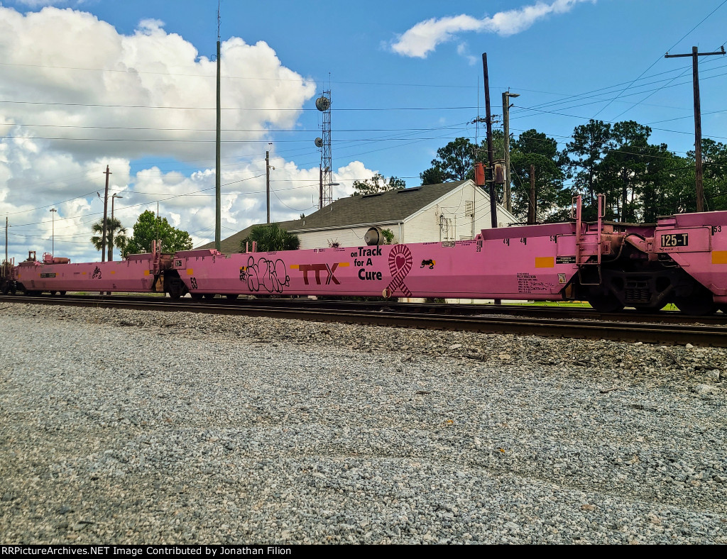 Specially painted TTX double stack car for Brest Cancer 