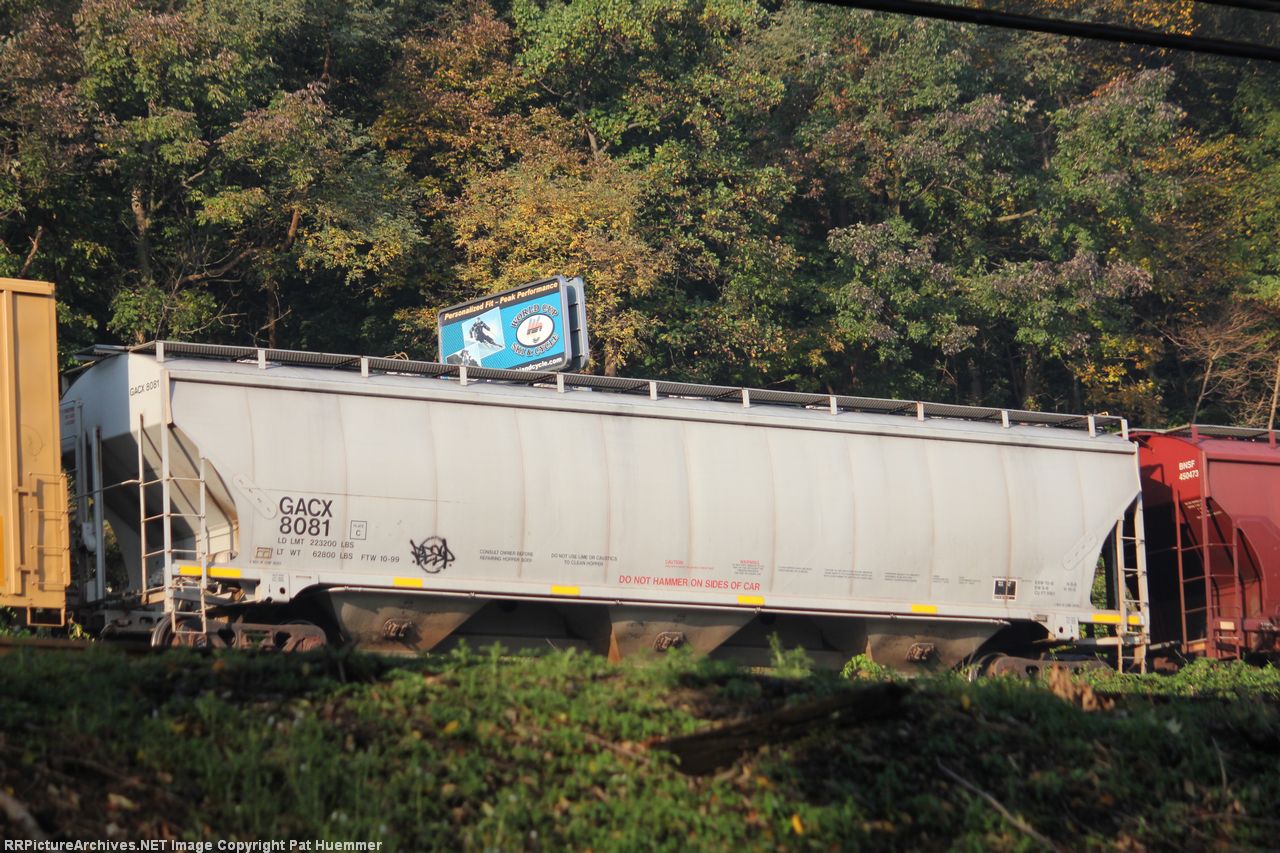 GACX 8081