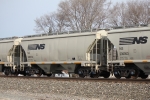 NS 236104
