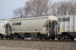 NS 236006