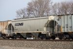 NS 236135