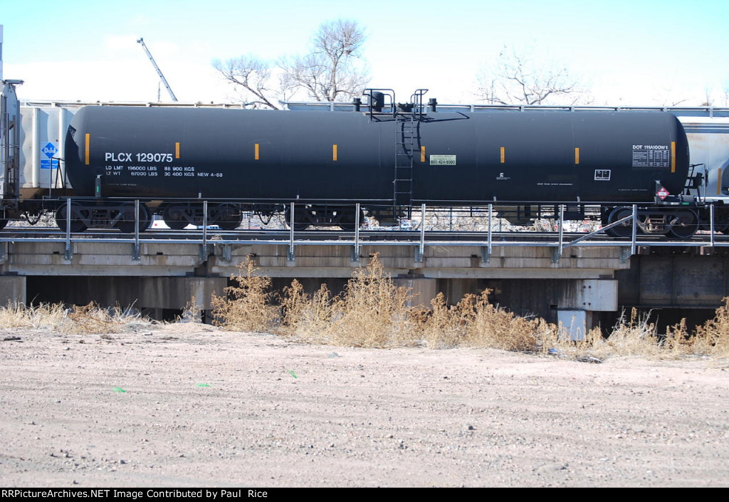 PLCX 129075