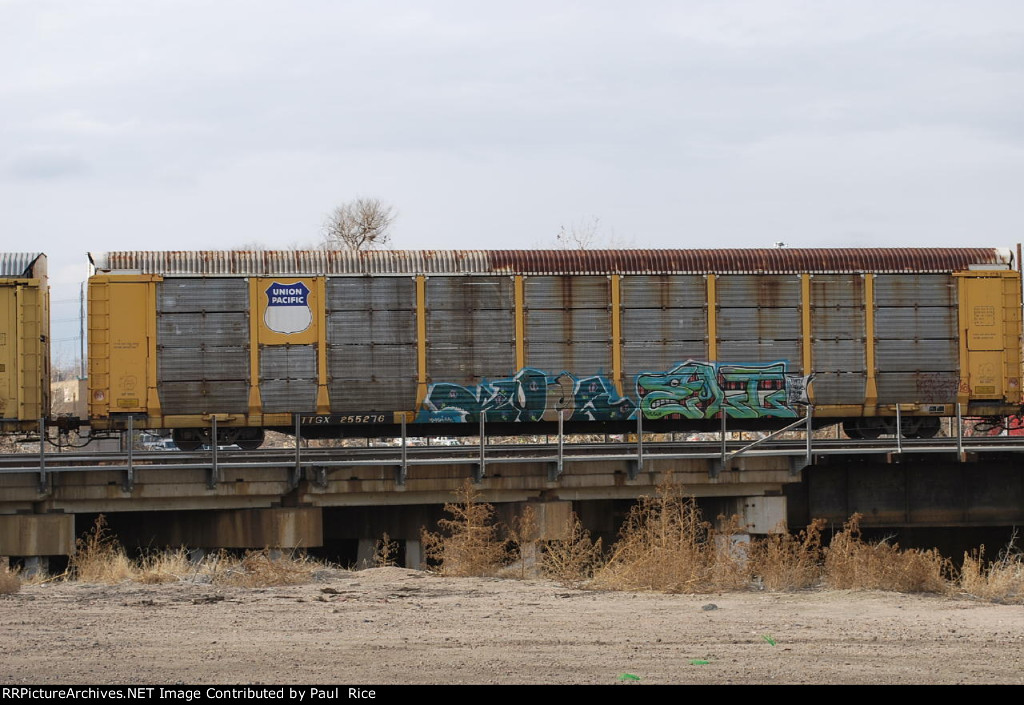 TTGX 255276