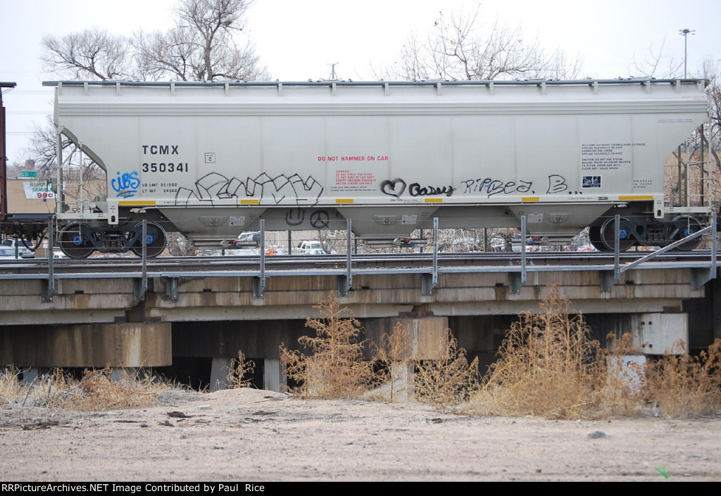 TCMX 350341