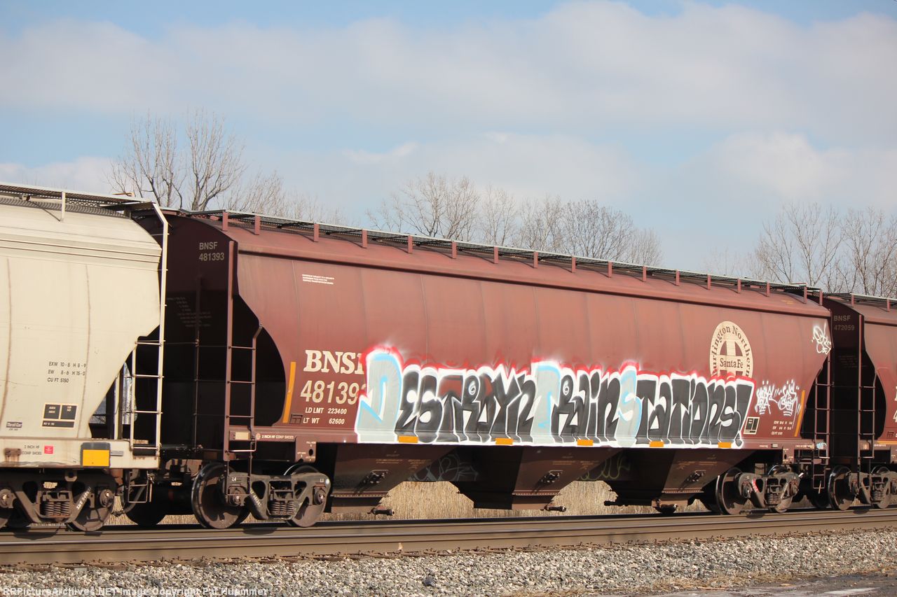 BNSF 481391