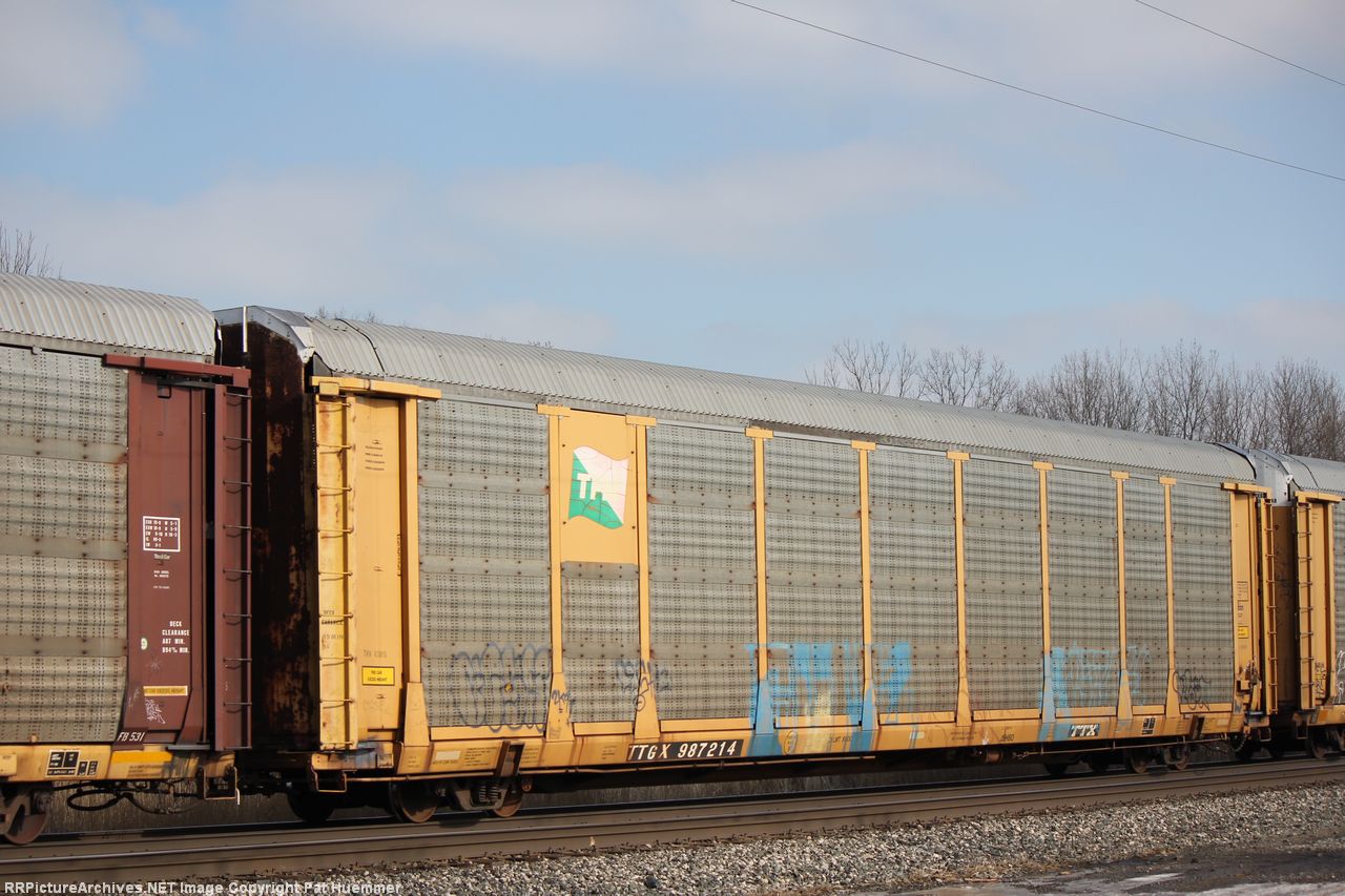 TTGX 987214