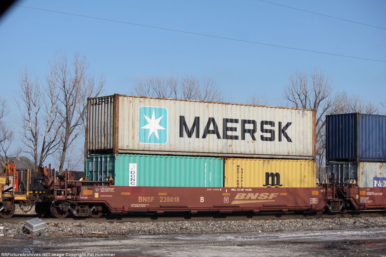 BNSF 239018