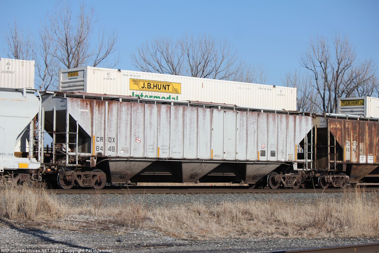 CRDX 8448