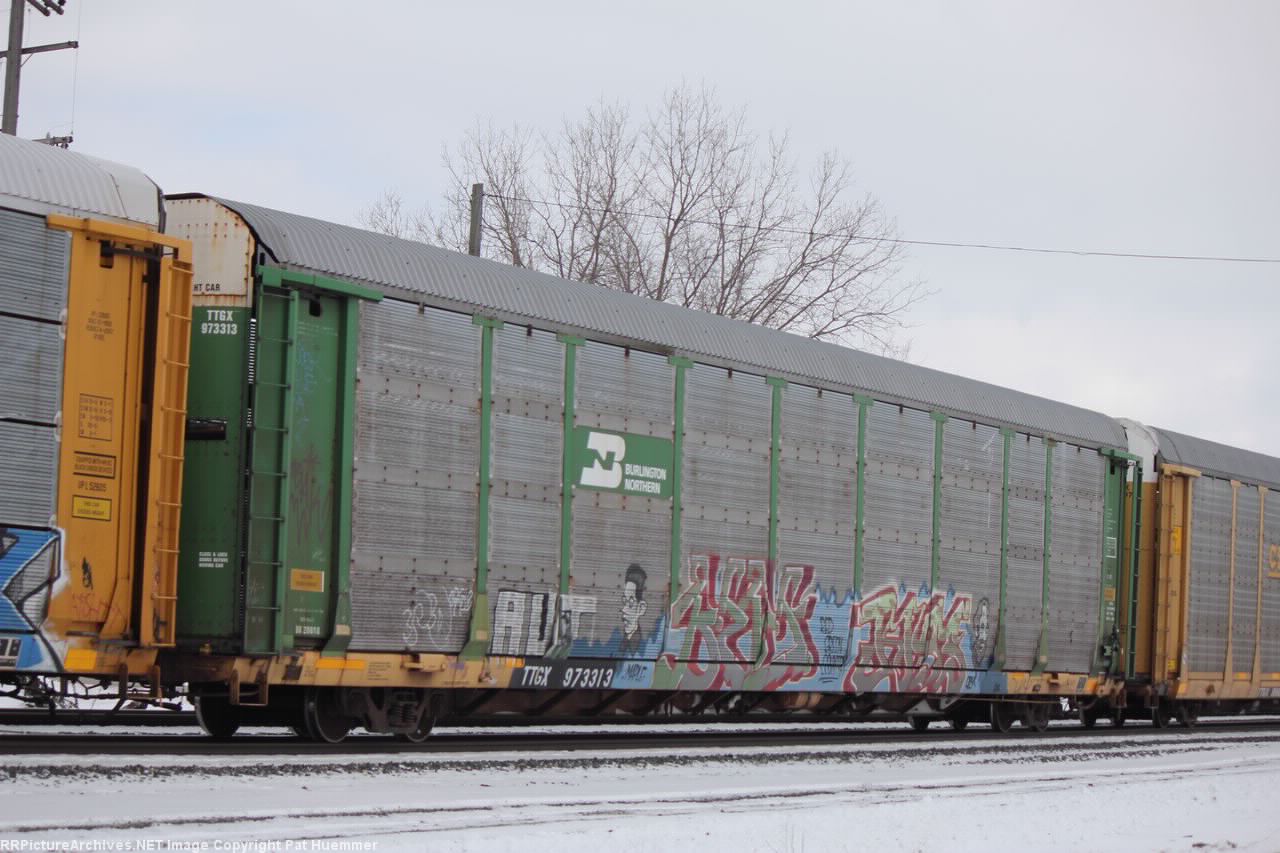 TTGX 973313