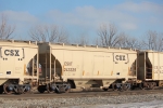 CSX 243339
