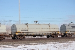 NS 165229