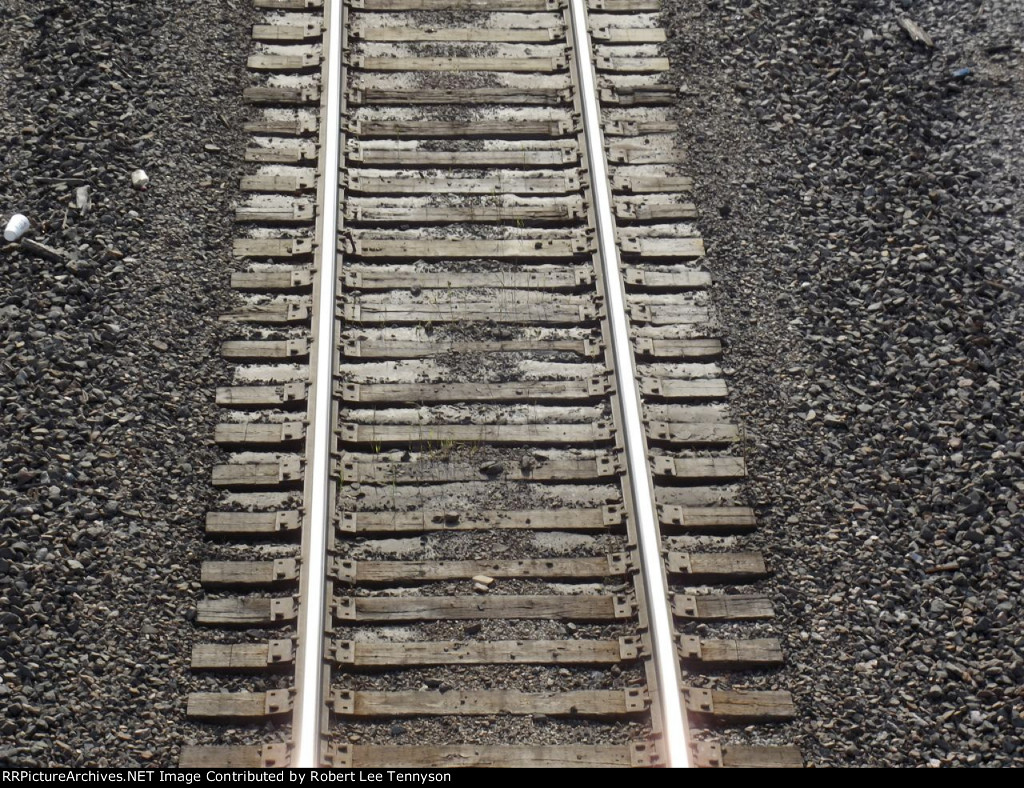 BNSF Springfield Yard