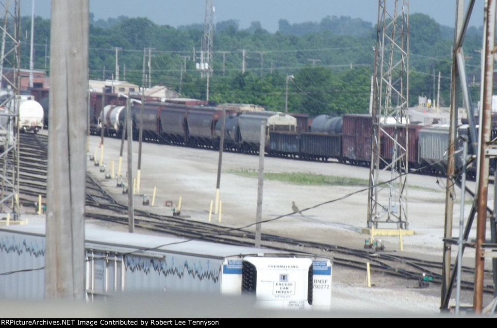 BNSF Springfield Yard