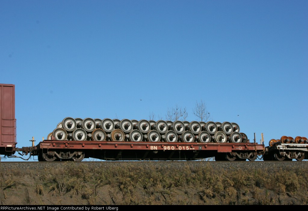BN 960015
