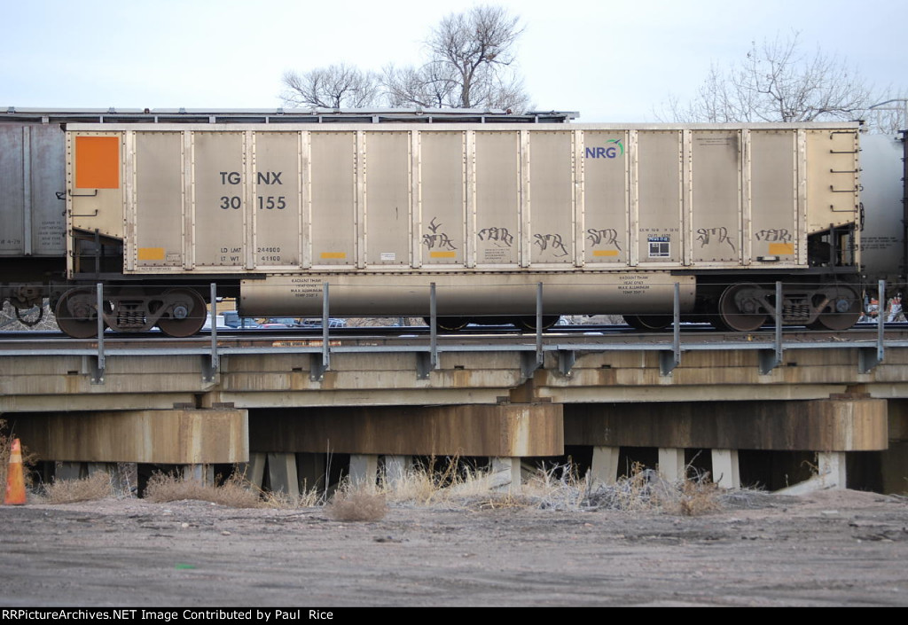 TGNX 30155