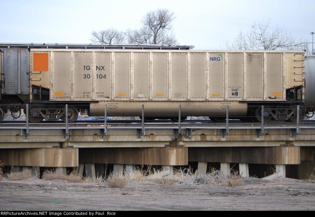 TGNX 30104